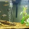 Best Aquarium Air Pump