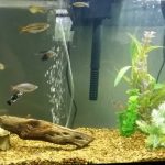 Best Aquarium Air Pump