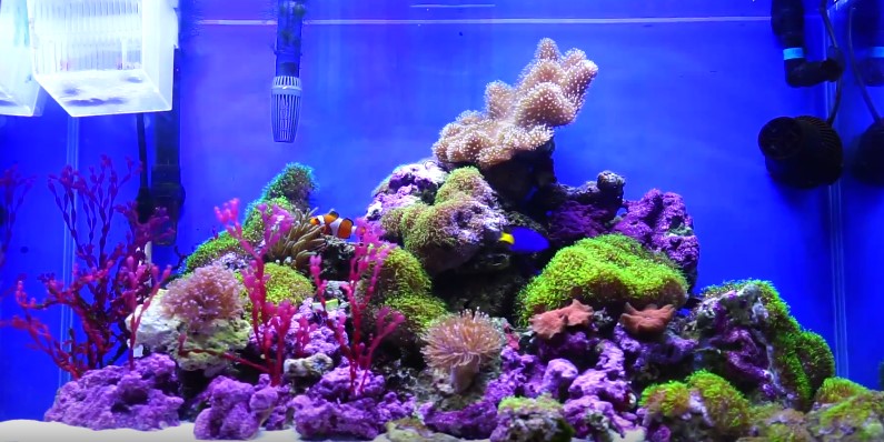 Best ro system for aquarium