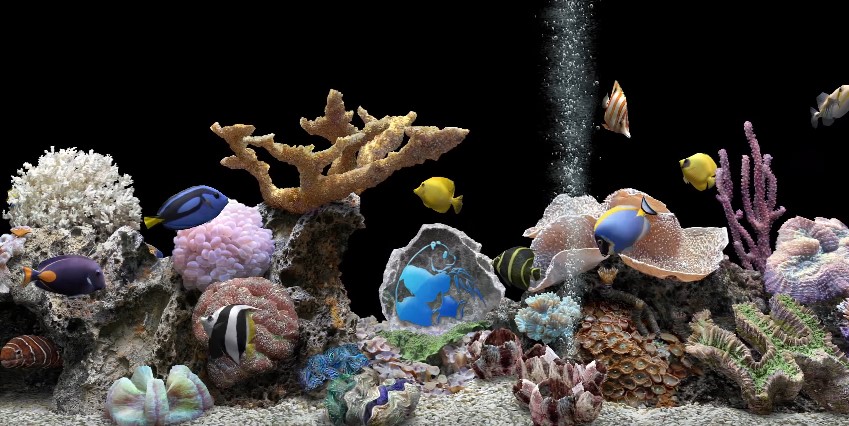 Best led lights for coral growth