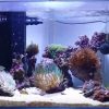Best Led Aquarium Lighting